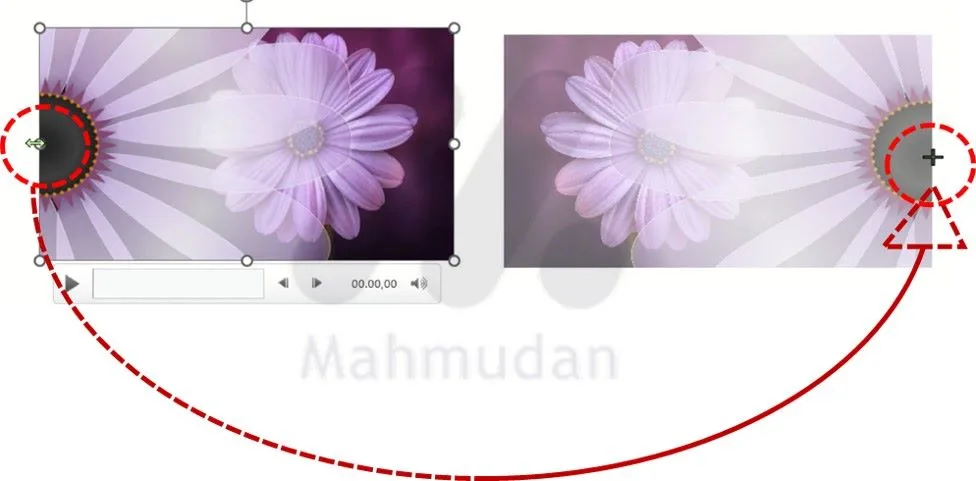 2 Cara Membalik Gambar atau Video di PowerPoint 4 cara cepat membalik gambar /video di powerpoint