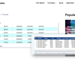 tabel excel di halaman web